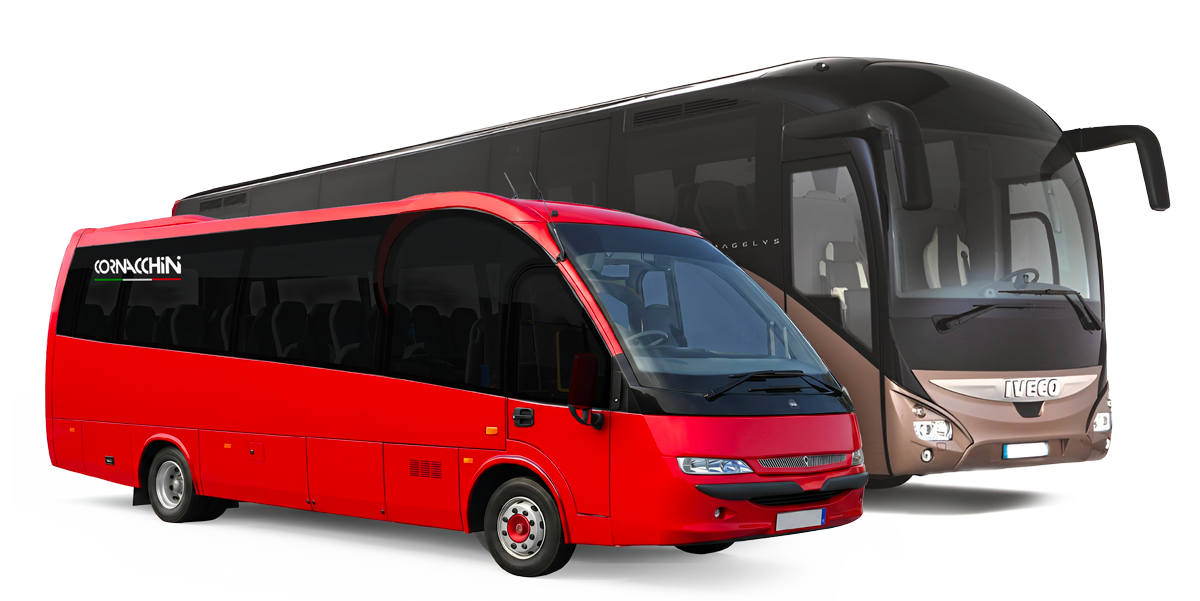 Bus e VIP Bus per aziende